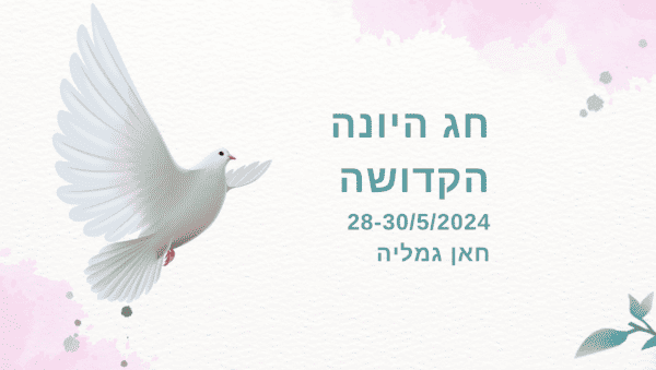 חג היונה הקדושה  28-30/5/2024 תכנים