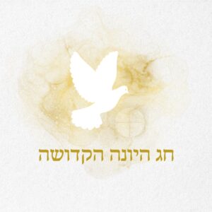 חג היונה לינה חוות נטור  - 250 ש״ח לצוותים