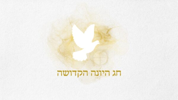 חג היונה לינה חוות נטור  - 250 ש״ח לצוותים